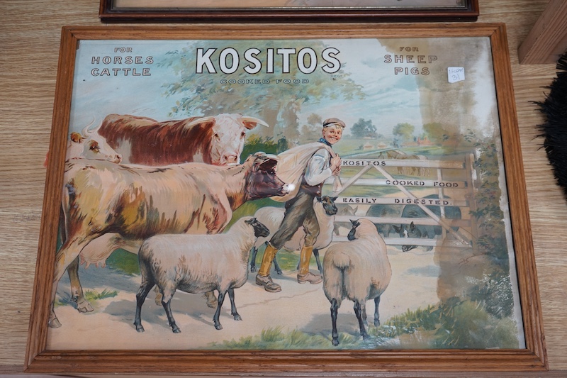 Two ‘Kositos’ chromolithograph adverts for cooked horse, cattle, sheep and pig food, largest 49cm wide, 36cm high. Condition - good